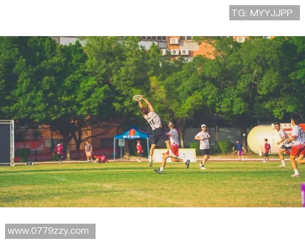 飞盘心理素质榜单揭晓杭州飞盘队荣获第二名展现强大心理素质